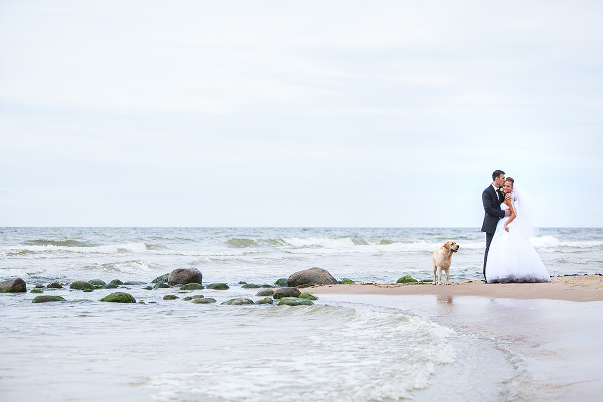 pajūrys, klaipėda, vestuvės prie jūros, šuo vestuvėse, vestuvių kadras